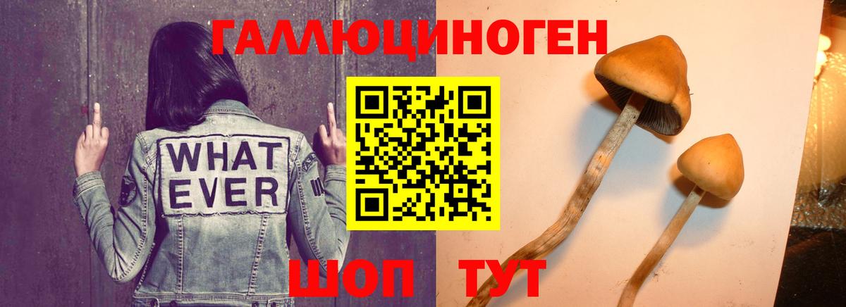 Галлюциногенные грибы мицелий  Вход с VPN  Галлюциногенные грибы мицелий  Александров 